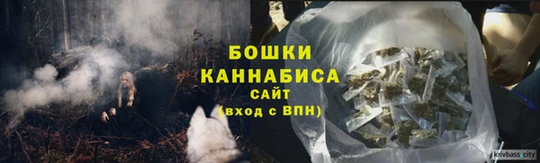шишки Алексин