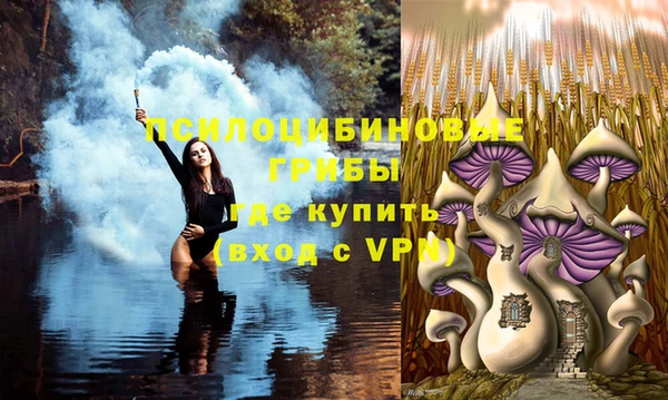 шишки Алексин