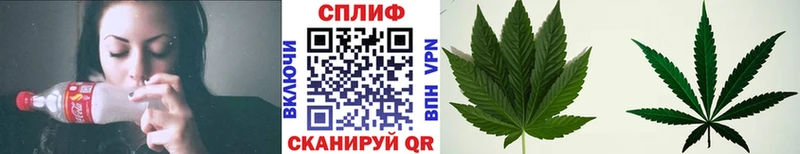 Бошки Шишки марихуана  Купить  Гвардейск 